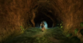 Faron woods.png