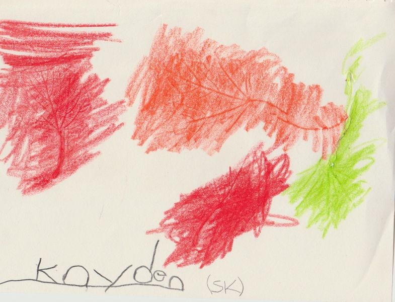 File:Kayden Project.jpeg