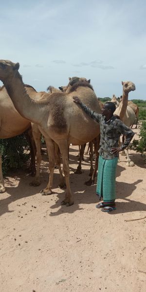 File:Pic with the Camels.jpeg